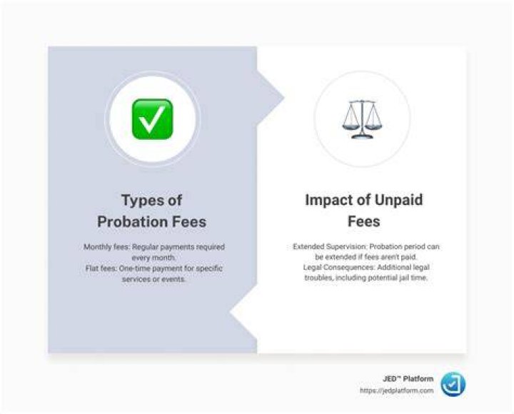 Can I pay my probation fees online in NJ?