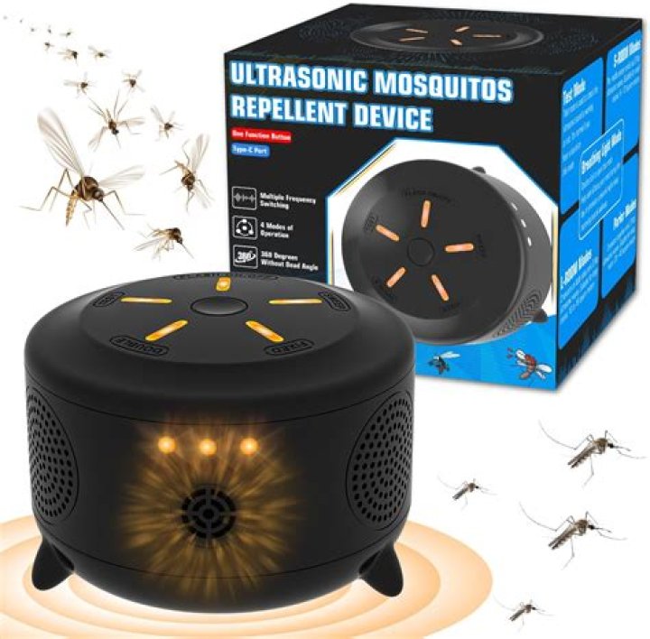 The No. 1 Thing Attracting Mosquitoes to Your Yard