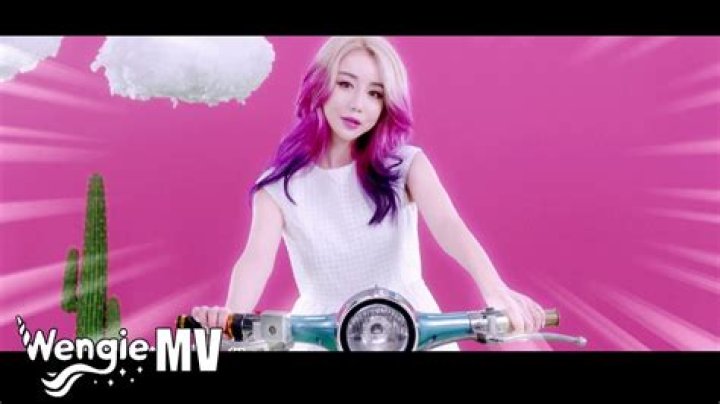 Wengie Youtuber overview