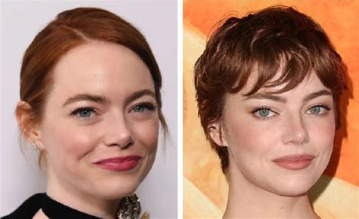 What Did Emma Stone Do Before She Was Famous?