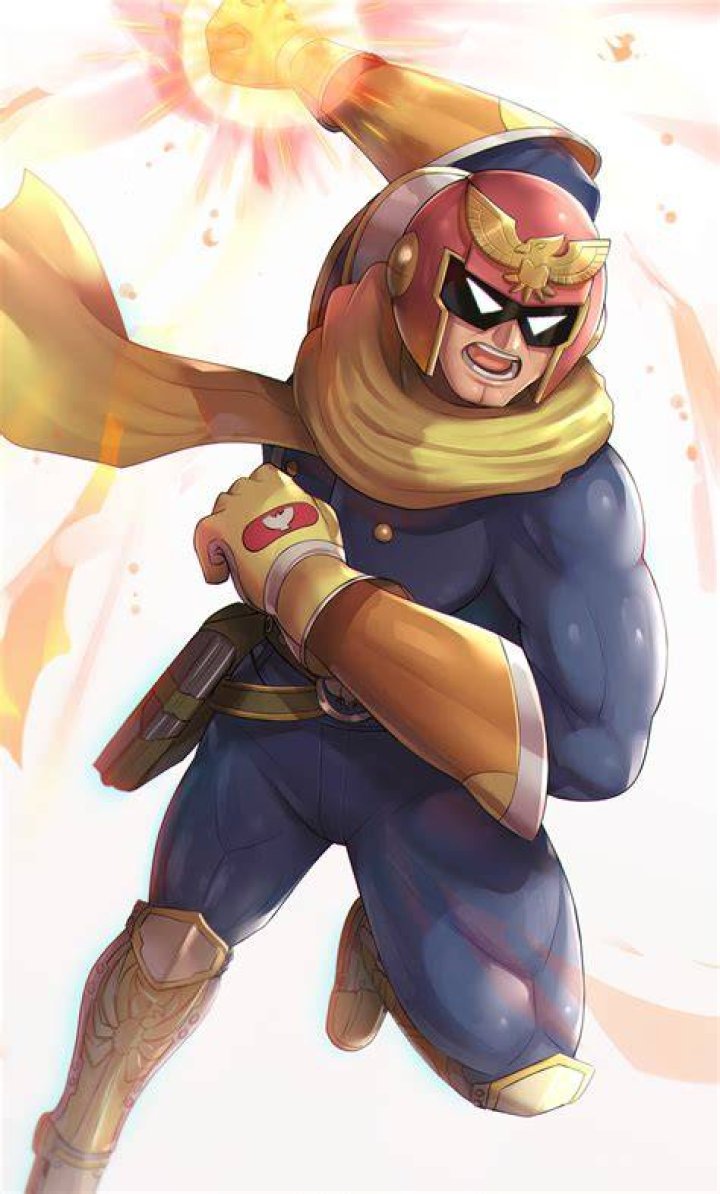 What fighting style is Captain Falcon?