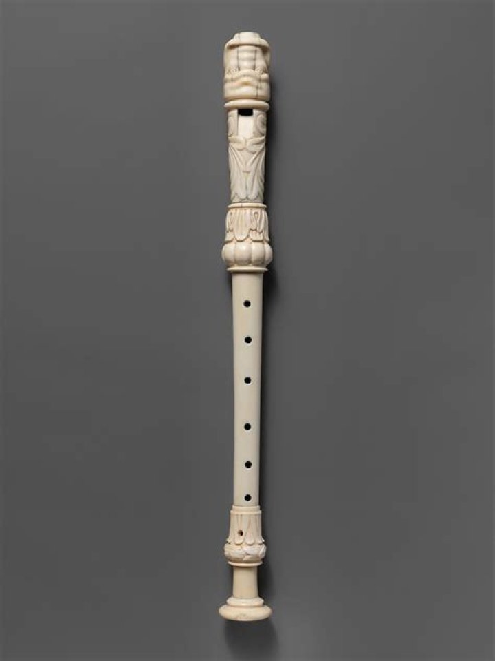 What is the most expensive recorder instrument?